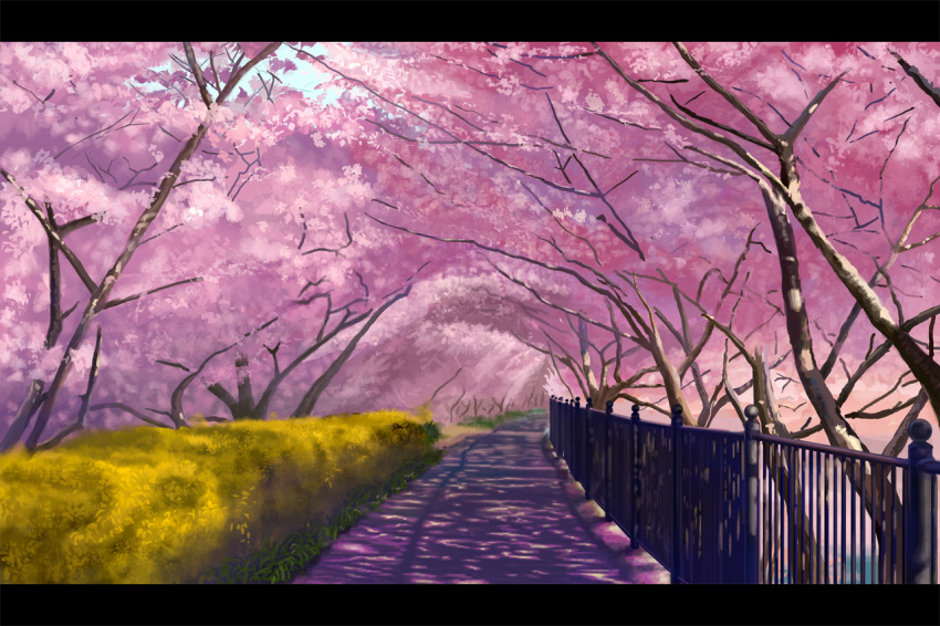 akibakeisena cherry_blossoms fence no_humans original road