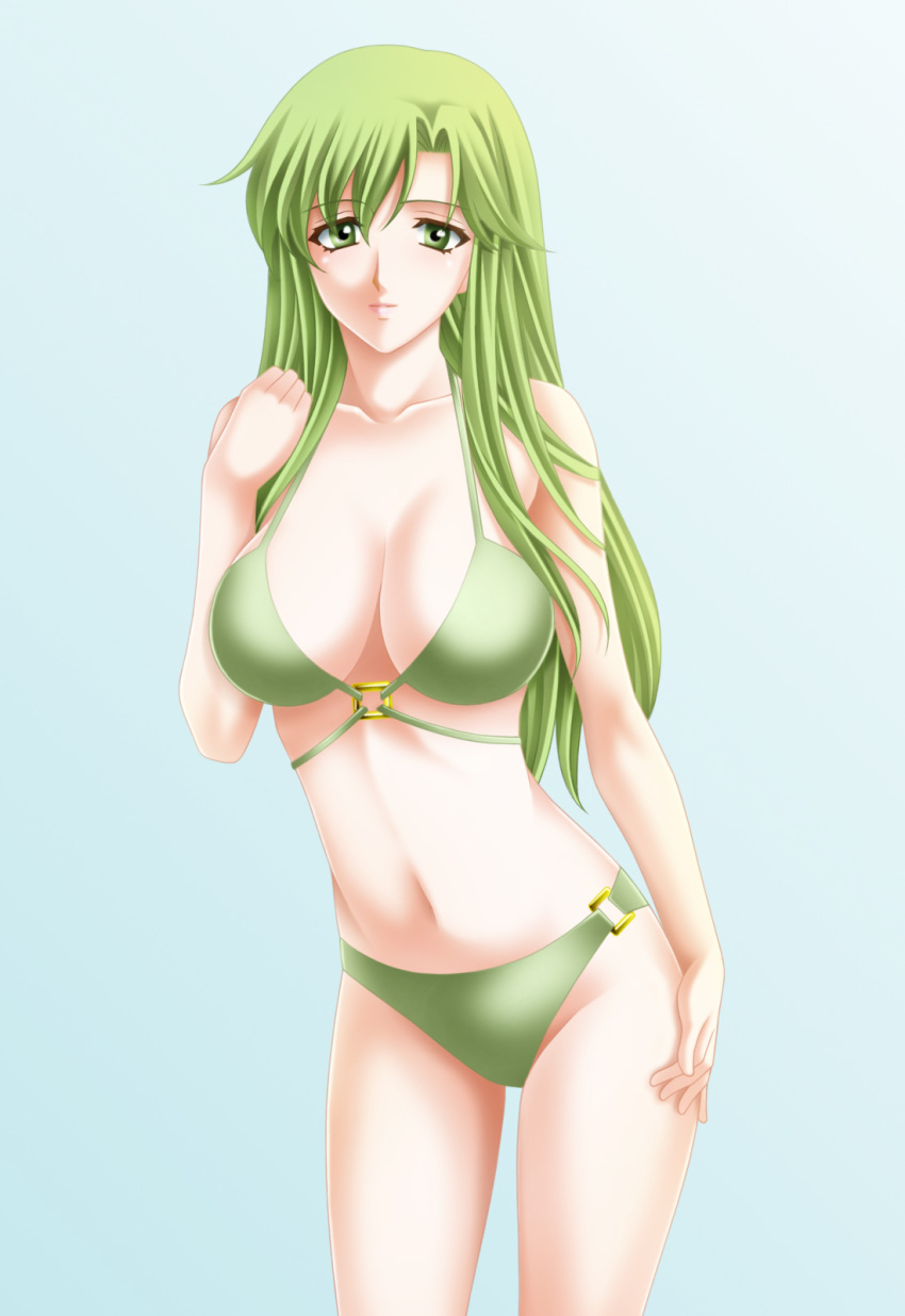 1girl bikini fire_emblem fire_emblem:_mystery_of_the_emblem green_eyes green_hair highres long_hair paola swimsuit tamamon