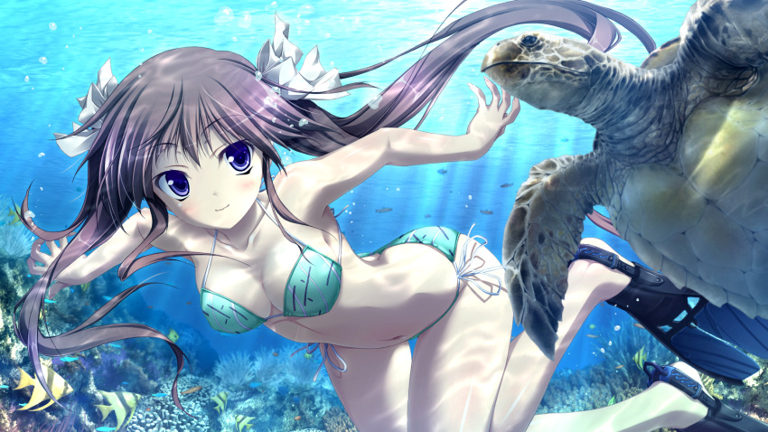 1girl bare_shoulders bikini collarbone fish flippers green_bikini hapymaher highres hirasaka_keiko long_hair navel purple_hair side-tie_bikini smile solo swimming swimsuit thigh_gap tsukimori_hiro turtle twintails underwater violet_eyes