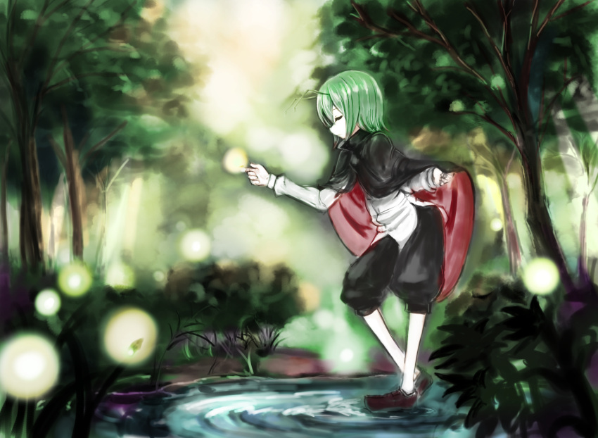 1girl caesar8149 firefly highres nature solo touhou water wriggle_nightbug