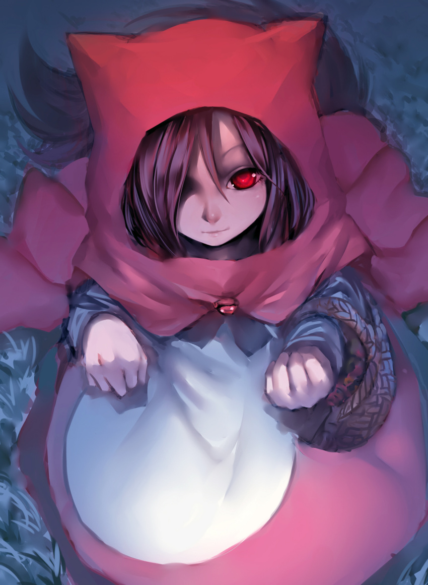1girl animal_ears basket dress from_above hair_over_one_eye highres hood imaizumi_kagerou little_red_riding_hood madcocoon red_eyes redhead smile solo touhou