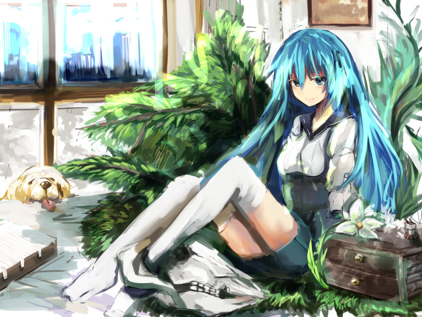 1girl blue_eyes blue_hair dog drawer flower haik highres long_hair original plant skull smile tagme thigh-highs very_long_hair window