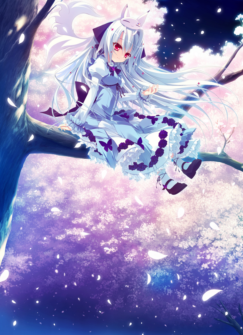 1girl animal_on_head blue_hair butterfly_print cherry_blossoms cherry_trees closed_mouth dress floral_print forest fox frills hair_ribbon highres in_tree izumi_tsubasu koi_ga_saku_koro_sakura_doki long_hair long_sleeves nature night open_eyes puffy_sleeves purple_bow purple_ribbon red_eyes ribbon sitting sitting_in_tree smile socks solo tina_(koi_ga_saku_koro_sakura_doki) tree tree_branch white_dress white_hair white_legwear younger |3