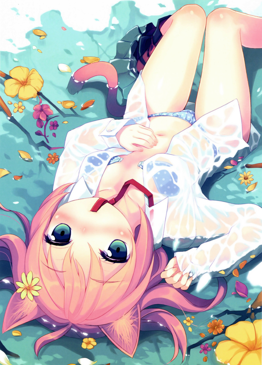 1girl absurdres animal_ears blue_eyes blush body_blush bra cat_ears cat_tail dress_shirt flower hair_flower hair_ornament highres looking_at_viewer lying minamura_haruki mouth_hold navel on_back open_clothes open_shirt original panties petals pink_hair pleated_skirt polka_dot polka_dot_bra polka_dot_panties ribbon_in_mouth scan see-through shirt skirt skirt_around_one_leg solo tail two_side_up unclasped underwear wet wet_clothes wet_shirt