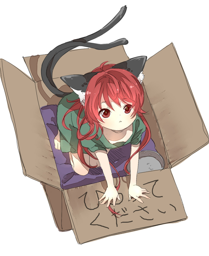 1girl :&lt; animal_ears barefoot blanket bowl box cardboard_box cat_ears cat_tail down_blouse dress for_adoption green_dress highres in_box in_container koma_midori looking_at_viewer pet_bowl puffy_short_sleeves puffy_sleeves red_eyes redhead short_sleeves solo tail touhou