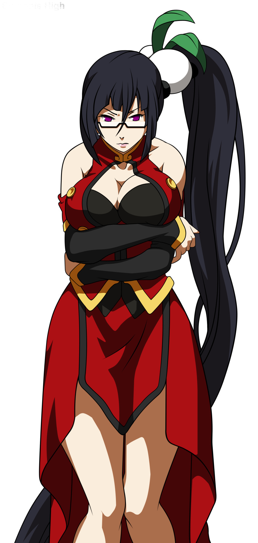 black_hair blazblue breasts china_dress chinadress chinese_clothes cleavage cleavage_cutout glasses hair_ornament highres litchi_faye_ling long_hair panda ponytail purple_eyes solo transparent_background vector_trace very_long_hair violet_eyes