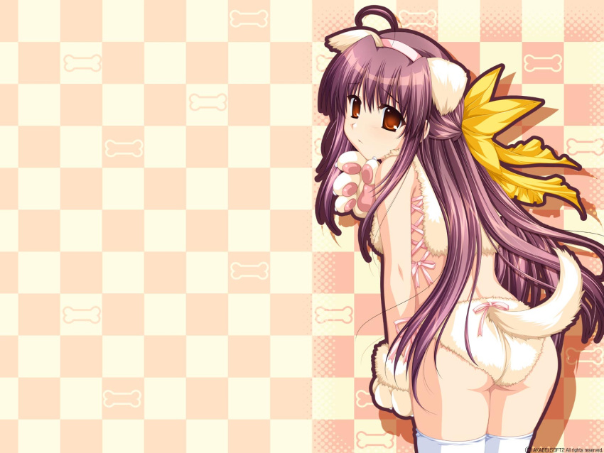 alpha_(artist) animal_ears arufa ass bare_shoulders bow dog_ears dog_tail from_behind gloves hair_bow hairband highres hinata_natsumi_(sharin_no_kuni) large_bow long_hair looking_back orange_eyes paw_gloves purple_hair ribbon sharin_no_kuni_himawari_no_shoujo solo tag_tail tail thigh-highs thighhighs very_long_hair wallpaper white_legwear white_thighhighs