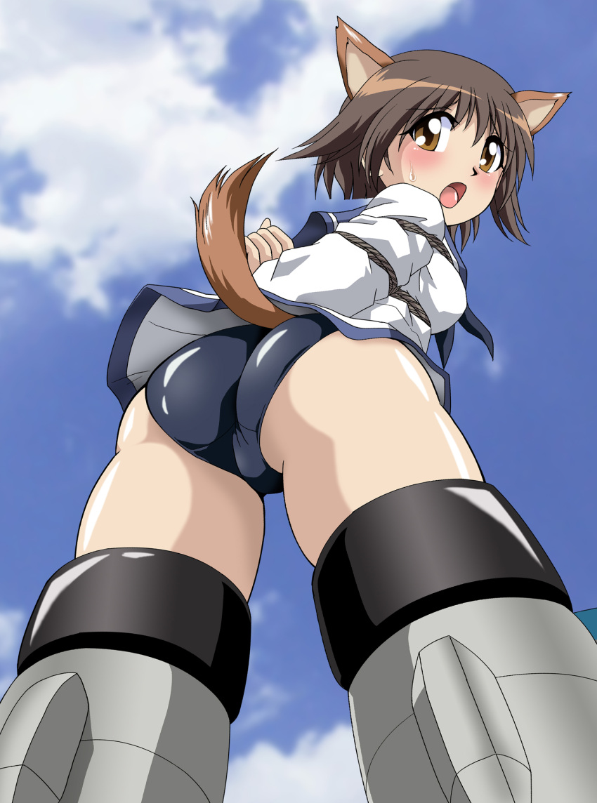 1girl animal_ears ass brown_eyes brown_hair dog_ears dog_tail from_below highres miyafuji_yoshika open_mouth sahara_kazumitsu shibari shibari_over_clothes short_hair solo strike_witches striker_unit sweatdrop swimsuit swimsuit_under_clothes tail