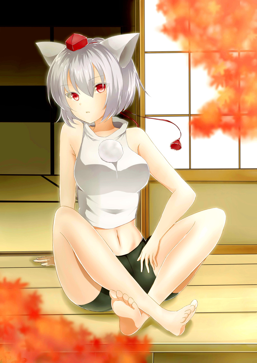 1girl absurdres animal_ears autumn_leaves bare_shoulders barefoot breasts hat highres inubashiri_momiji large_breasts leaf looking_at_viewer midriff navel pom_pom_(clothes) short_hair silver_hair sitting solo tokin_hat touhou utako_(kuromosuki) wolf_ears