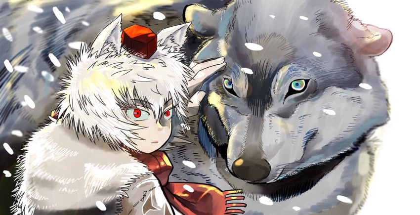 1girl animal_ears hat inubashiri_momiji looking_at_viewer munakata_(sekimizu_kazuki) red_eyes scarf short_hair snowing tokin_hat touhou white_hair wolf wolf_ears