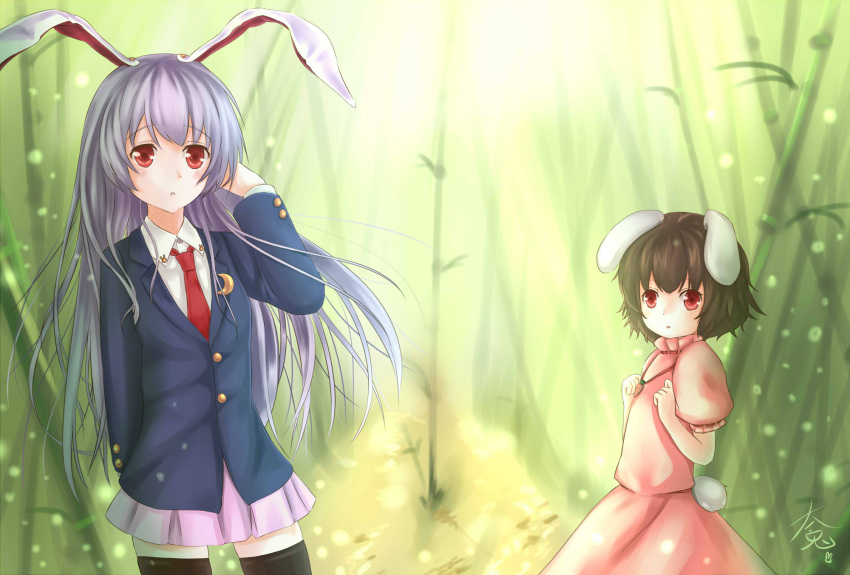 2girls :o animal_ears bamboo bamboo_forest black_hair bunny_tail carrot_necklace crescent dress forest frilled_sleeves frills highres inaba_tewi lavender_hair long_hair miniskirt multiple_girls nature puffy_short_sleeves puffy_sleeves rabbit_ears red_eyes reisen_udongein_inaba short_hair short_sleeves skirt suit_jacket tail thigh-highs touhou watatsuki_dai_usagi-ko zettai_ryouiki