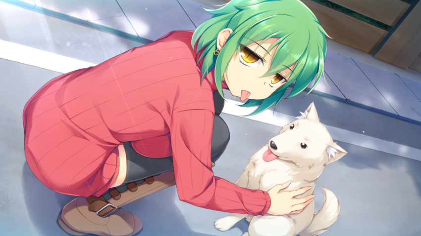 1girl :p black_legwear boots breasts dog earrings green_hair hikage_(senran_kagura) jewelry looking_at_viewer puroteinhime ribbed_sweater senran_kagura senran_kagura_(series) short_hair slit_pupils solo squatting sweater thigh-highs tongue tongue_out turtleneck yellow_eyes
