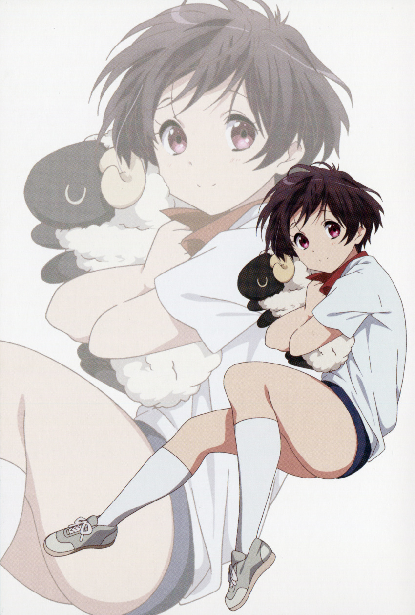 1girl absurdres black_hair buruma chuunibyou_demo_koi_ga_shitai! gym_uniform highres official_art red_eyes sheep short_hair stuffed_animal stuffed_toy tsuyuri_kumin zoom_layer