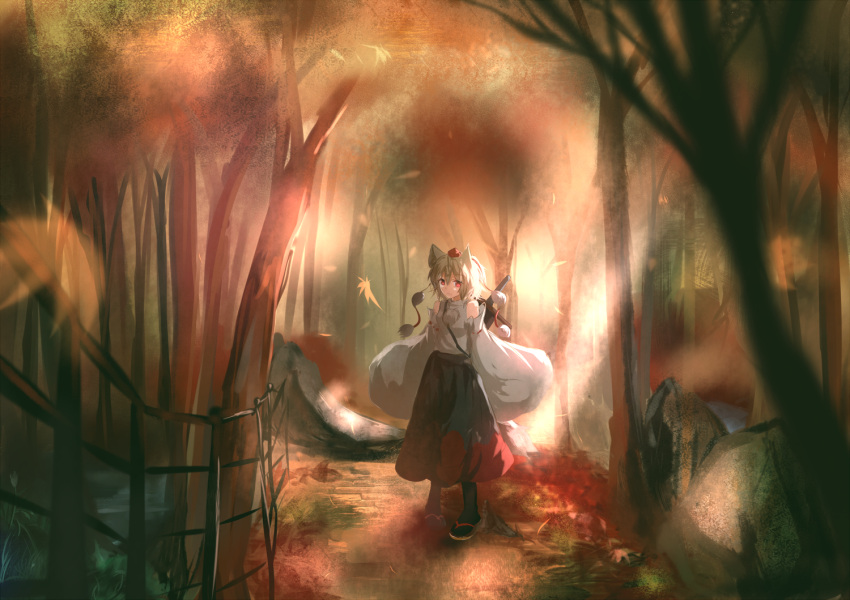 1girl animal_ears autumn autumn_leaves bare_shoulders blurry depth_of_field detached_sleeves fence forest hat hat_ribbon hizagawa_rau inubashiri_momiji long_sleeves looking_at_viewer nature path red_eyes ribbon road shirt silver_hair skirt solo sword tail tokin_hat touhou weapon wide_sleeves wolf_ears wolf_tail