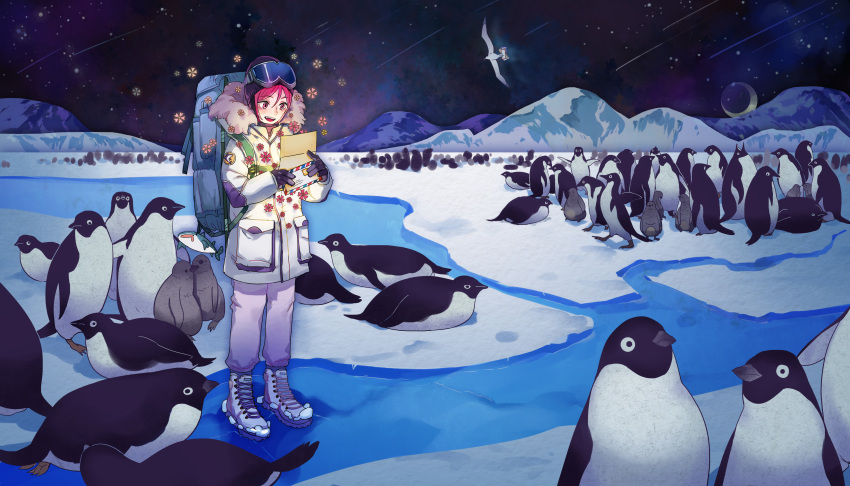 1boy absurdres airmail_envelope bird boots envelope free! gloves goggles goggles_on_head highres letter male matsuoka_rin moon nanjou_(sumeragimishiro) night night_sky open_mouth penguin pink_eyes pink_hair shark short_hair sky solo standing