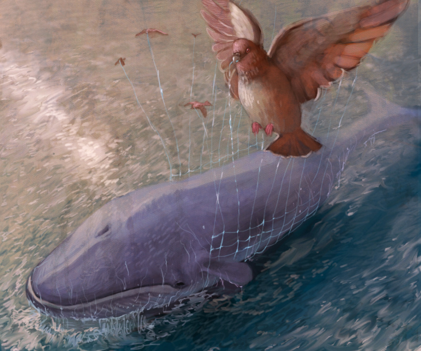 abe_(jump) bird fail_whale net no_humans ocean realistic twitter whale