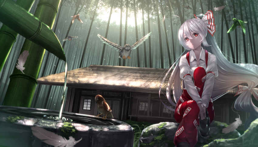 1girl bird bow building collared_shirt feathers forest fujiwara_no_mokou hair_bow long_hair long_sleeves looking_at_viewer nature outdoors red_eyes ryosios silver_hair sitting solo touhou tree very_long_hair water