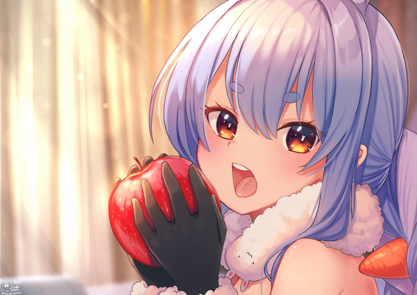 1girl apple bangs black_gloves blue_hair braid brown_eyes bunny-shaped_pupils carrot_hair_ornament commentary_request creature curtains don-chan_(usada_pekora) eating eyebrows_visible_through_hair food food-themed_hair_ornament fruit fur_scarf gloves hair_between_eyes hair_ornament hands_up highres holding holding_food holding_fruit hololive indoors long_hair looking_at_viewer magowasabi multicolored_hair open_mouth portrait scarf short_eyebrows signature solo thick_eyebrows twitter_username two-tone_hair upper_teeth usada_pekora virtual_youtuber white_hair white_scarf