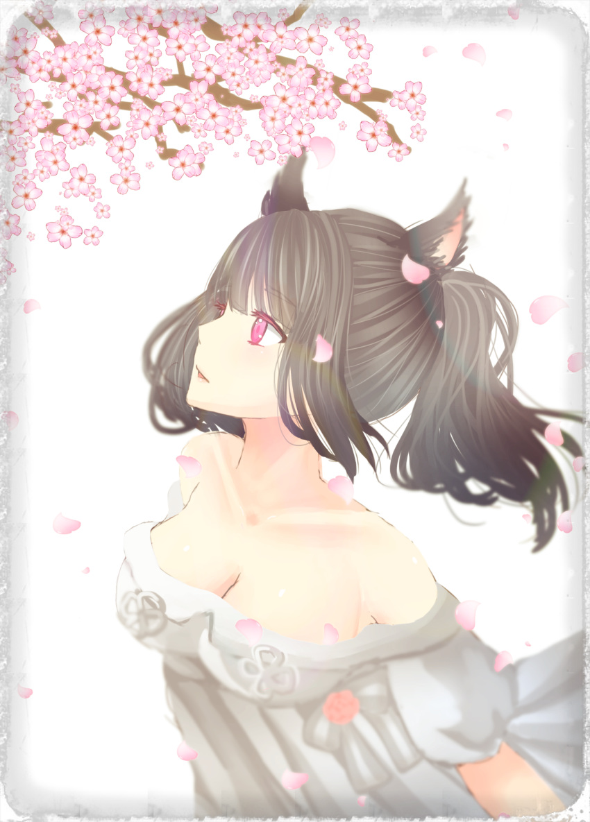 1girl animal_ears black_hair breasts cherry_blossoms cleavage final_fantasy final_fantasy_xiv highres miqo'te off-shoulder_dress pink_eyes ponytail