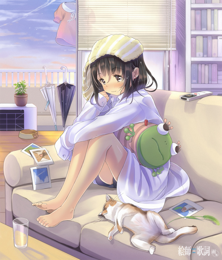 1girl air_conditioner ataru_(ataru_squall) bare_legs barefoot blush bookshelf brown_eyes brown_hair cat clouds controller dress_shirt earrings food_bowl glass highres jewelry legs long_sleeves original paw_print photo_(object) pillow plant remote_control shirt short_hair shorts sitting sky smile solo toes towel umbrella wet wet_clothes wet_hair