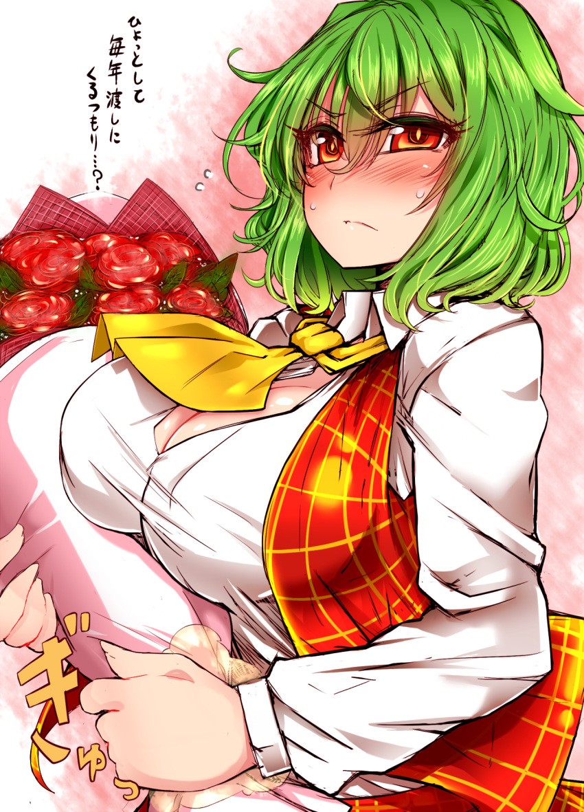 1girl blush breasts cleavage green_hair highres kazami_yuuka large_breasts long_sleeves open_clothes open_vest red_eyes roki_(hirokix) shirt skirt skirt_set solo touhou translation_request vest