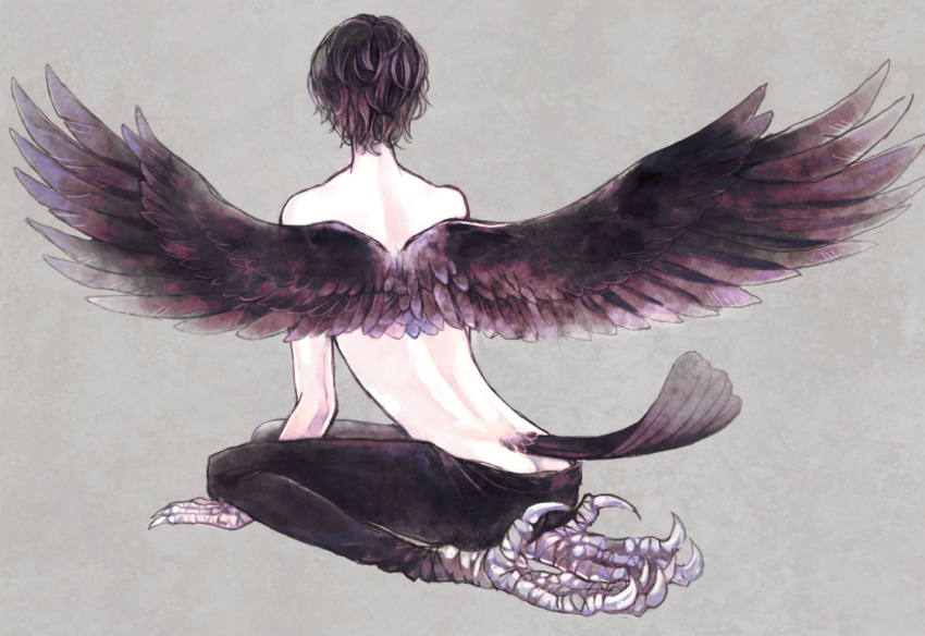 barefoot between_legs bird_tail black_hair claws clona curly_hair feathered_wings from_behind grey_background hand_between_legs harpy monster_girl original outstretched_wings pants seiza simple_background sitting solo tail wings