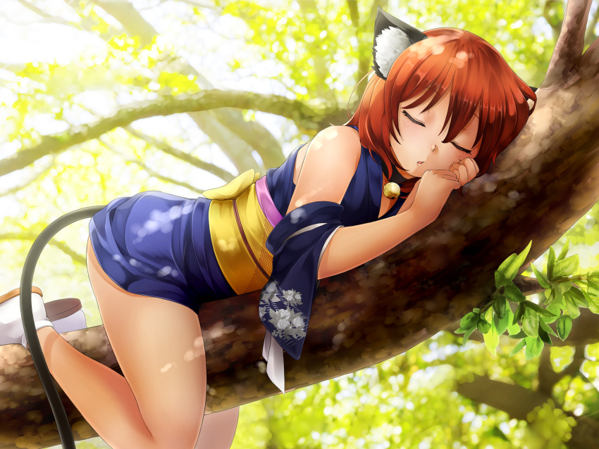 1girl animal_ears bare_shoulders bell bell_collar cat_ears cat_girl cat_tail closed_eyes collar day detached_sleeves floral_print from_side game_cg highres hunie_pop in_tree japanese_clothes jingle_bell kimono leaf lying momo_(hunie_pop) nature ninamo obi on_stomach open_mouth outdoors redhead sandals sash short_hair short_kimono sleeping socks solo straddling tail tree yellow_eyes