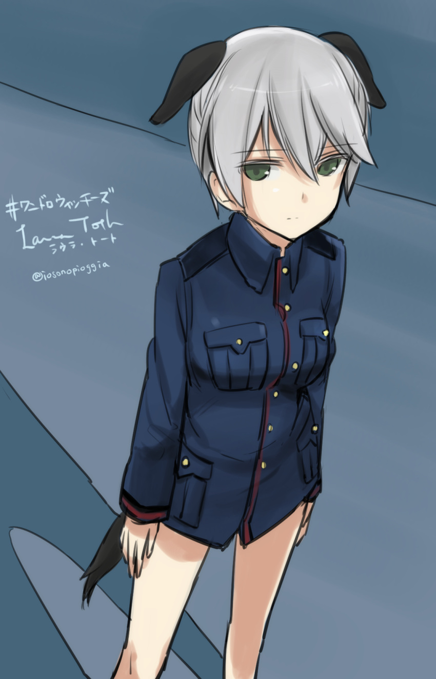 1girl :| amefre animal_ears arms_at_sides buttons character_name colored_eyelashes dog_ears dog_tail expressionless green_eyes highres laura_toth long_sleeves looking_away military military_uniform pocket shadow short_hair silver_hair solo standing strike_witches tail twitter_username uniform