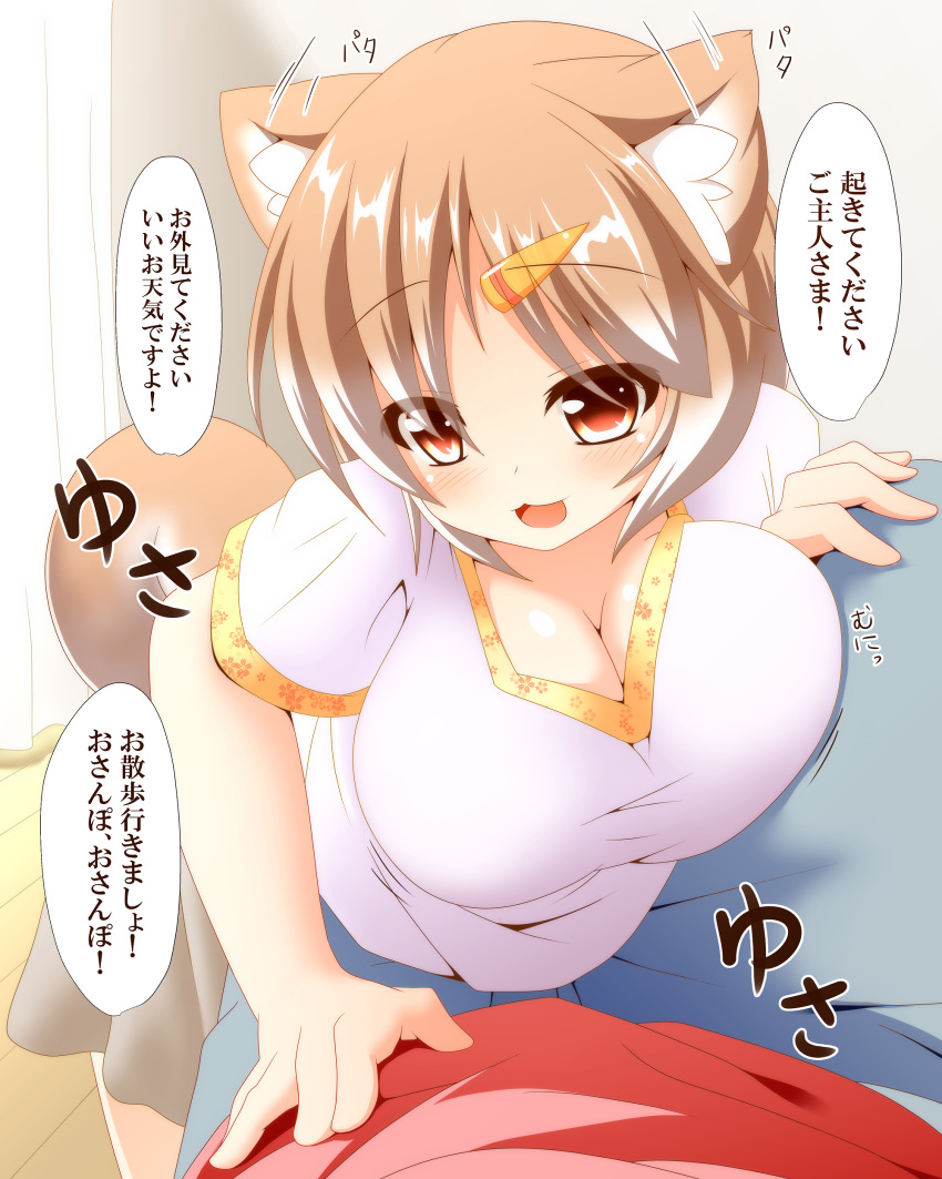 1girl :3 absurdres animal_ears blush breast_press breasts brown_eyes cleavage commentary_request dog_ears dog_tail ear_twitch hair_ornament hairclip hajime_(ak-r) highres large_breasts light_brown_hair looking_at_viewer open_mouth original pants personification pov_crotch shiba_inu shirt skirt smile solo_focus tail translation_request