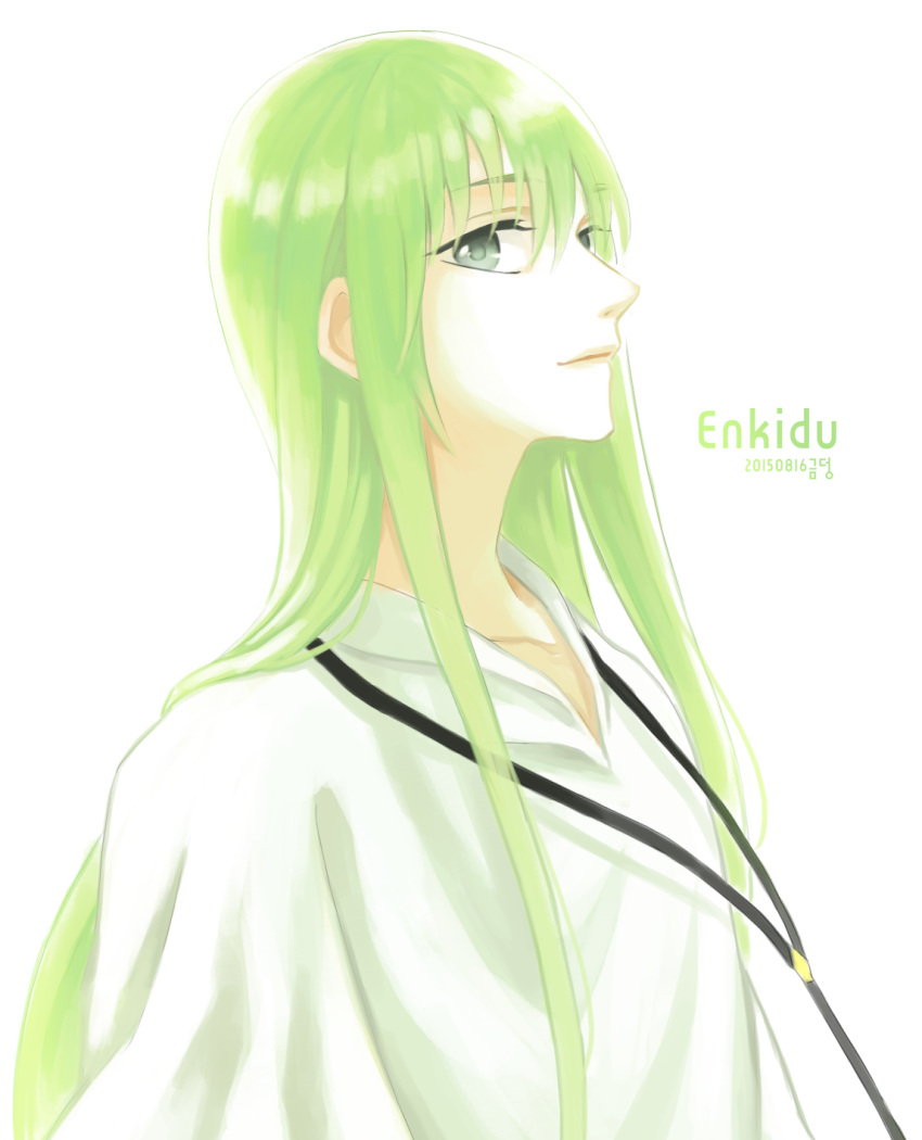 1boy androgynous cds06 enkidu_(fate/strange_fake) fate/strange_fake fate_(series) green_eyes green_hair highres solo
