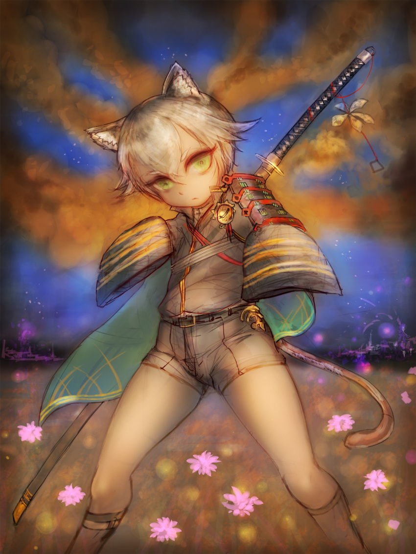 1boy absurdres animal_ears armor cape cat_ears cat_tail flower girlsay green_eyes highres hotarumaru japanese_armor kemonomimi_mode male_focus no_hat ootachi shorts silver_hair sleeves_past_wrists sode sword tail touken_ranbu weapon