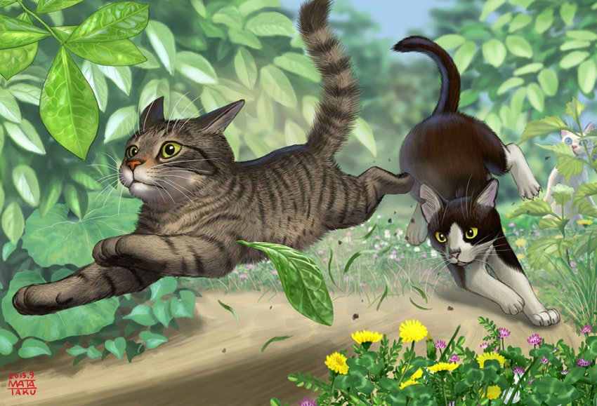 cat chasing flower leaf matataku no_humans original realistic running