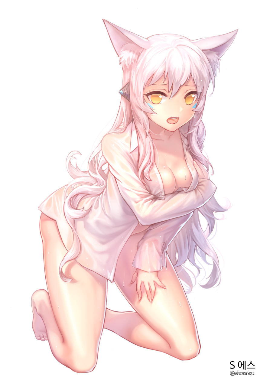 1girl aken animal_ears bangs barefoot breast_hold breasts cat_ears cleavage copyright_request dress_shirt facial_mark full_body highres kneeling long_hair long_sleeves naked_shirt no_bra no_pants open_clothes open_mouth open_shirt revision see-through shirt simple_background solo sweat teeth text tongue twitter_username very_long_hair wet wet_clothes wet_hair white_background white_hair white_shirt yellow_eyes