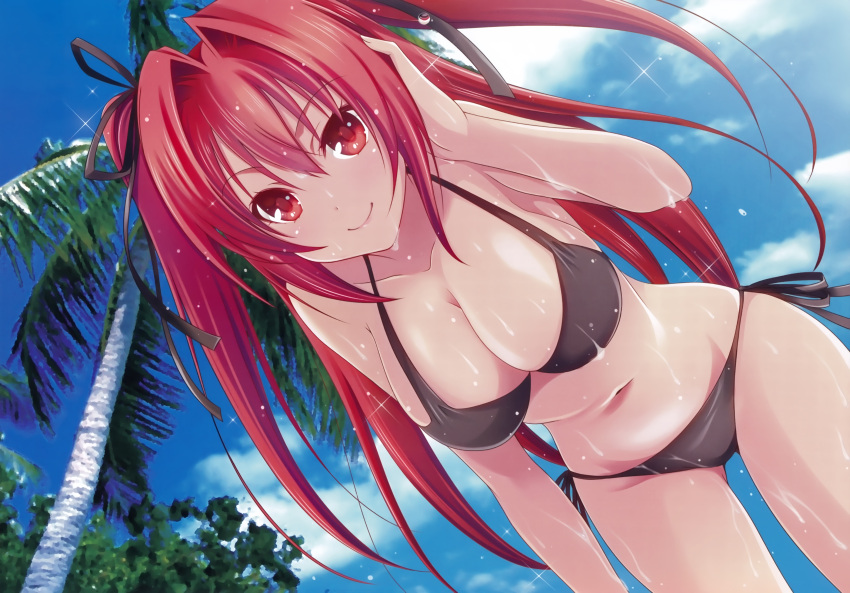 1girl absurdres bikini breasts cleavage highres huge_filesize long_hair naruse_mio palm_tree redhead shinmai_maou_no_testament sky smile swimsuit tree twintails wet