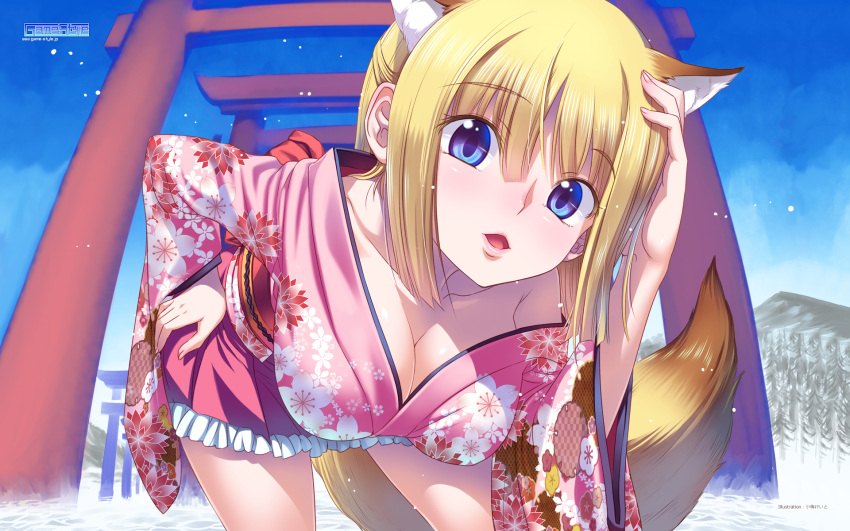 1girl animal_ears artist_name bent_over blonde_hair blue_eyes breasts cleavage collarbone company_name cowboy_shot floral_print hand_on_hip hand_on_own_head highres japanese_clothes kimono koume_keito long_hair looking_at_viewer mountain original outdoors parted_lips smile solo tail torii tree water watermark web_address wide_sleeves