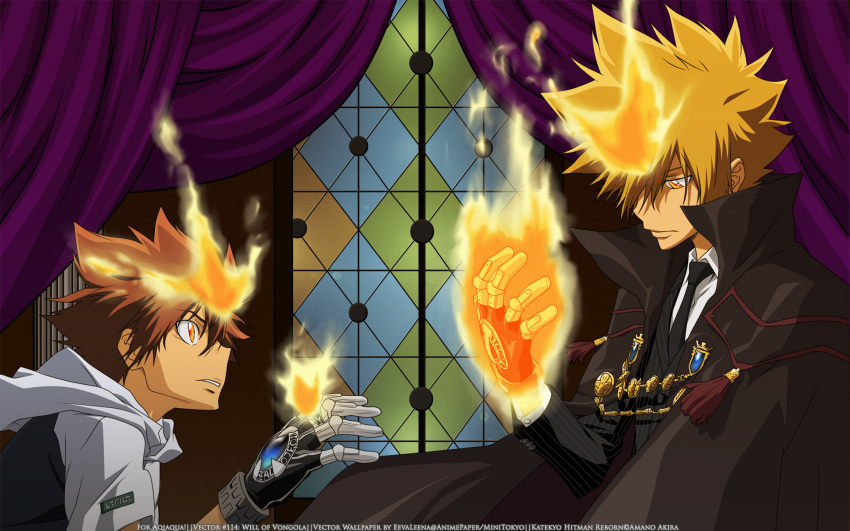 katekyou_hitman_reborn sawada_tsunayoshi tagme vongola_primo