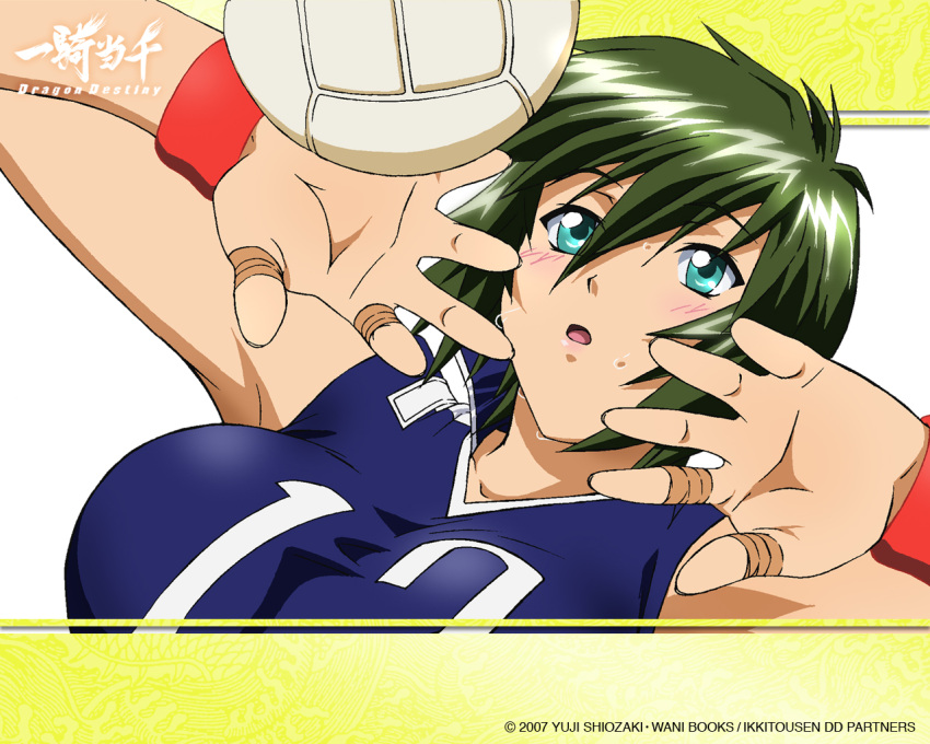 bandage blush green_hair ikkitousen ikkitousen_dragon_destiny kyocho_chuukou short_hair volleyball wristband yuji_shiozaki