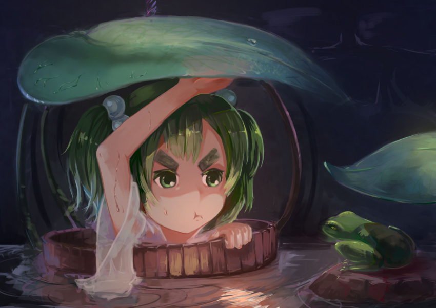 1girl bucket dao_sui_de_jiemo eyebrows frog green_eyes green_hair kisume lily_pad long_sleeves multicolored_hair pout reflection rock see-through shiny shiny_hair short_hair solo touhou two-tone_hair water well wet