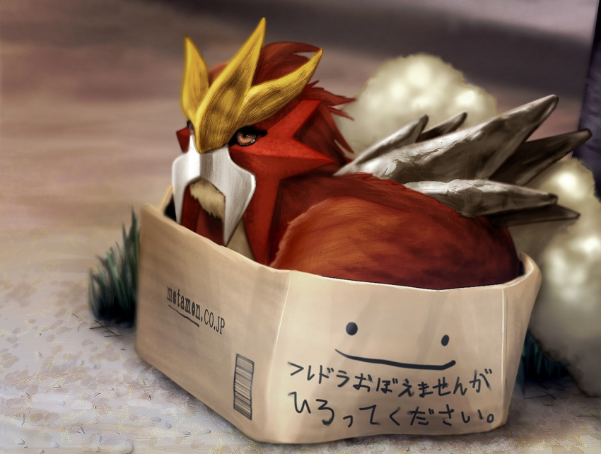 box brown_eyes brown_hair cardboard_box check_commentary commentary_request cosmo_(465lilia) entei grass in_box in_container no_humans pokemon pokemon_(creature) sitting solo translation_request watermark web_address