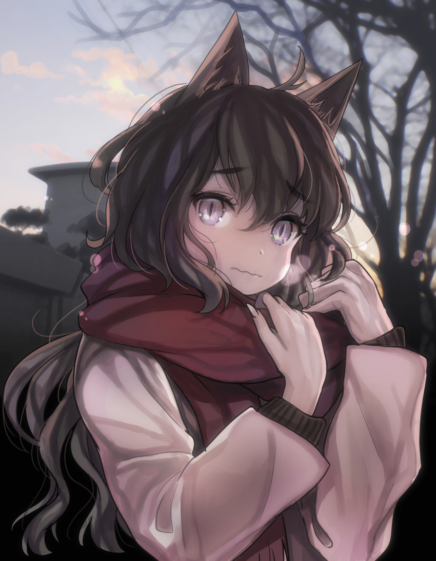 1girl amripo animal_ears black_hair blue_eyes cat_day cat_ears highres long_hair original scarf solo