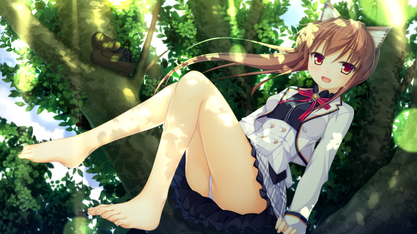 1girl animal_ears artist_request barefoot blush brown_eyes brown_hair cat_ears cropped_jacket faura_linans highres in_tree legs long_hair looking_at_viewer open_mouth panties pantyshot pantyshot_(sitting) school_uniform shoes_removed sitting sitting_in_tree smile solo tree underwear world_election