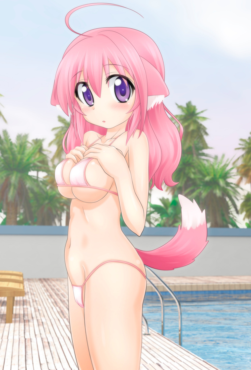 1girl absurdres animal_ears bikini dog_days dog_ears dog_tail highres koyomisa millhiore_f_biscotti pink_hair poolside solo standing swimsuit tail violet_eyes