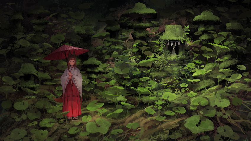 1girl arch bangs blunt_bangs brown_eyes brown_hair forest fox_tail full_body geta hakama_skirt highres japanese_clothes jumpei99 kimono long_sleeves looking_to_the_side miko moss nature original outdoors parasol plant red_ribbon red_skirt ribbon sandals scenery shrine sidelocks skirt socks solo tabi tail umbrella white_legwear wide_sleeves wood
