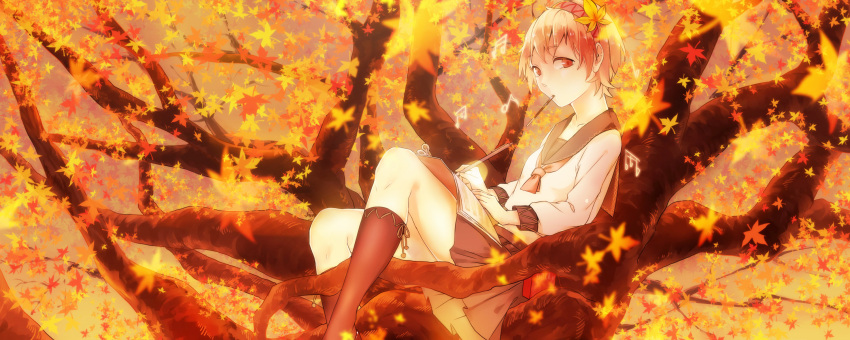 1girl autumn autumn_leaves blurry box clipboard depth_of_field falling_leaves hair_ornament hairband highres in_tree kagari6496 knees leaf_hair_ornament looking_at_viewer musical_note neckerchief pen pocky sheet_music short_hair sitting sketch skirt socks solo touhou tree tree_branch tsukumo_yatsuhashi writing