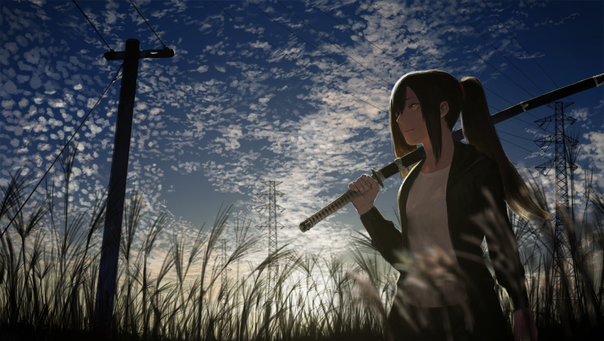 1girl arm_at_side bangs black_hair black_jacket blue_sky carrying_over_shoulder closed_mouth clouds from_below grass holding holding_sword holding_weapon jacket katana light_smile long_hair long_sleeves looking_away mage_(replica) nail_polish open_clothes open_jacket outdoors pink_nails plant ponytail power_lines red_eyes sky solo swept_bangs sword touran-sai twilight upper_body utility_pole_(object) weapon