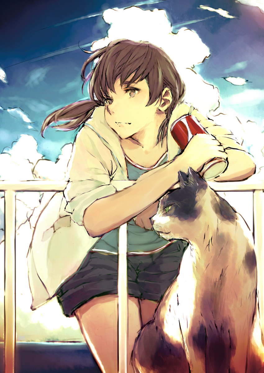 1girl absurdres bird cat clouds highres leaning original ponytail seagull shorts sky sleeves_rolled_up soda yukiguni_(ykgn)