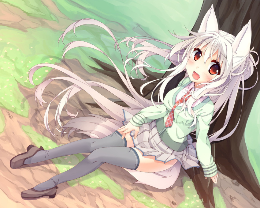 1girl albino animal_ears black_legwear breasts cardigan fang fox_ears fox_tail long_hair long_sleeves looking_at_viewer necktie open_mouth original oruto_(ort+) pleated_skirt red_eyes school_uniform shirt silver_hair sitting skirt smile solo tail thigh-highs thighs tree very_long_hair white_hair wind zettai_ryouiki