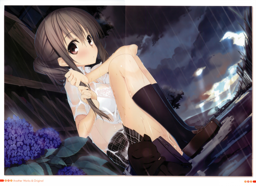 1girl absurdres black_legwear bra breasts brown_eyes brown_hair cat copyright_request dutch_angle flower highres hydrangea kagome_(traumatize) kneehighs lace_bra large_breasts leg_hug loafers plaid plaid_skirt pleated_skirt ponytail rain scan school_uniform see-through shoes sitting skirt solo underwear wet wet_clothes white_bra wringing