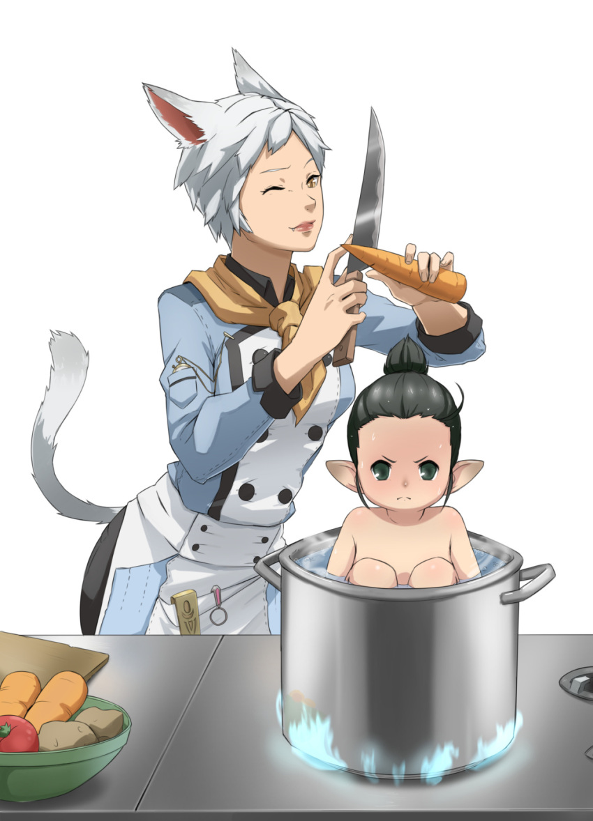 2girls animal_ears black_hair brown_eyes cat_ears cat_tail cooking final_fantasy final_fantasy_xiv green_eyes grey_hair highres imdsound in_container knife lalafell miqo'te multiple_girls nude one_eye_closed pointy_ears pot short_hair tail