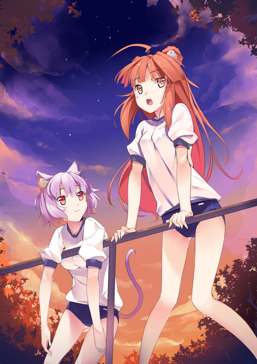 2girls :3 :o absurdres ahoge animal_ears arm_support ass_visible_through_thighs bear_ears brown_eyes brown_hair buruma cat_ears cat_tail clouds dangling evening eyebrows eyebrows_visible_through_hair fang from_below gym_uniform highres kantai_collection kuma_(kantai_collection) long_hair looking_at_another looking_away moe_monokatari multiple_girls open_mouth outdoors puffy_short_sleeves puffy_sleeves purple_hair railing shirt short_hair short_sleeves sky smile star_(sky) t-shirt tail tama_(kantai_collection)